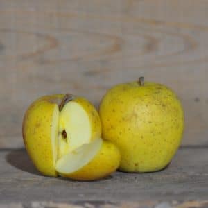 Pomme-Délis D'Or