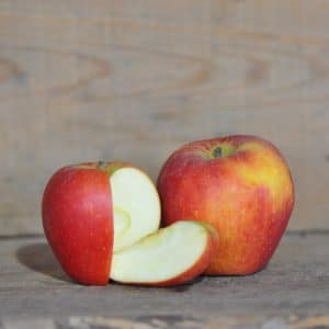Pomme-Pilot